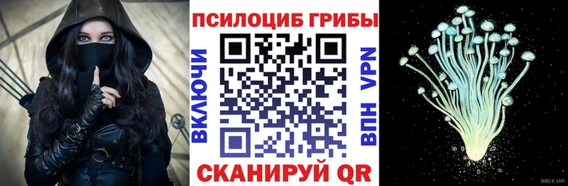 Галлюциногенные грибы Psilocybe  где купить наркоту  мега как зайти  Ангарск 